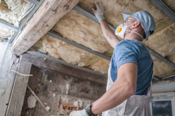 Best Insulation for Specific Applications in Antelope, CA
