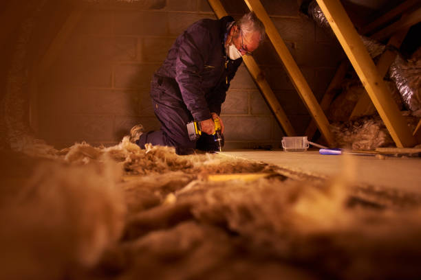 Best Insulation Installation Services in Antelope, CA